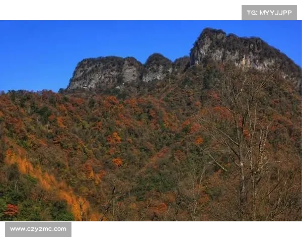 梦游三染:幻境奇缘,色彩缤纷 梦游三染:幻境奇缘,色彩缤纷