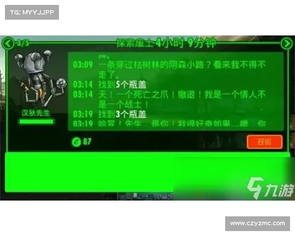 辐射避难所存档改进：重塑存储核心